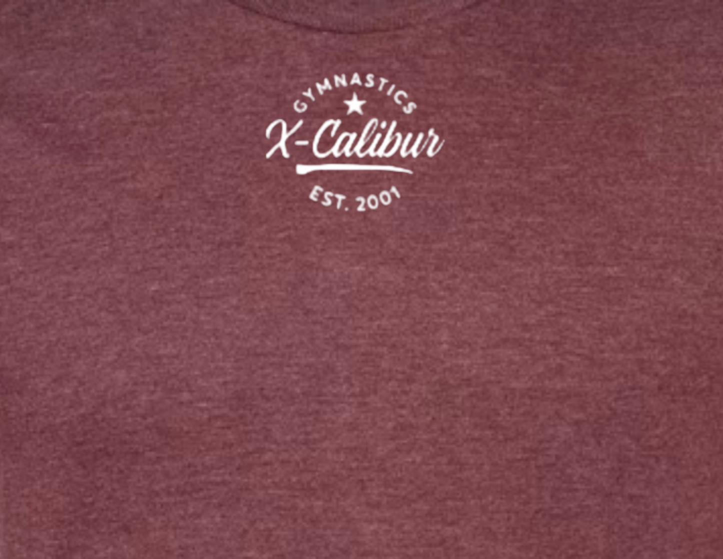Unisex Adult Gymnastics X-Calibur Heather Burgundy T-shirt Spiritwear 2025